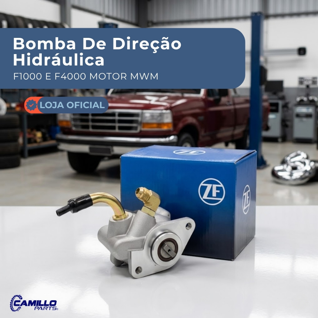 Bomba Direção Hidráulica ZF Ford F1000 F4000 Motor MWM Original Sem Polia