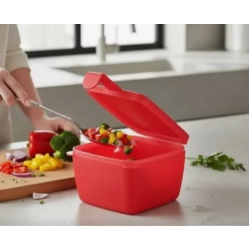 Tupperware Conserva Metade Cebola Alho Pimentão Tomate Vermelho