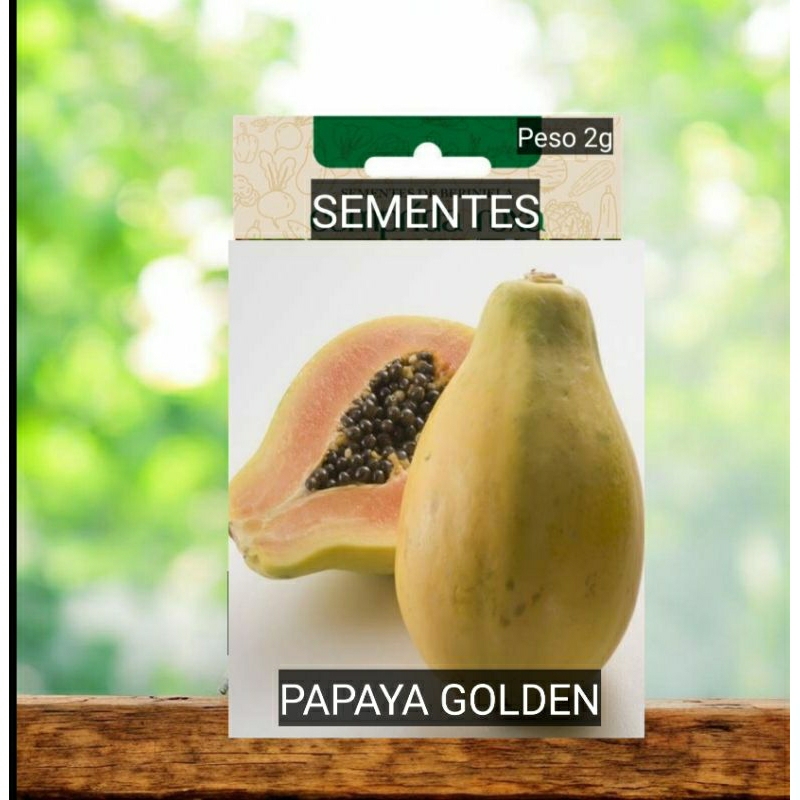 Sementes de  MAMÃO PAPAYA GOLDEM mais DOCE do Mundo plante terra vaso horta OFERTA