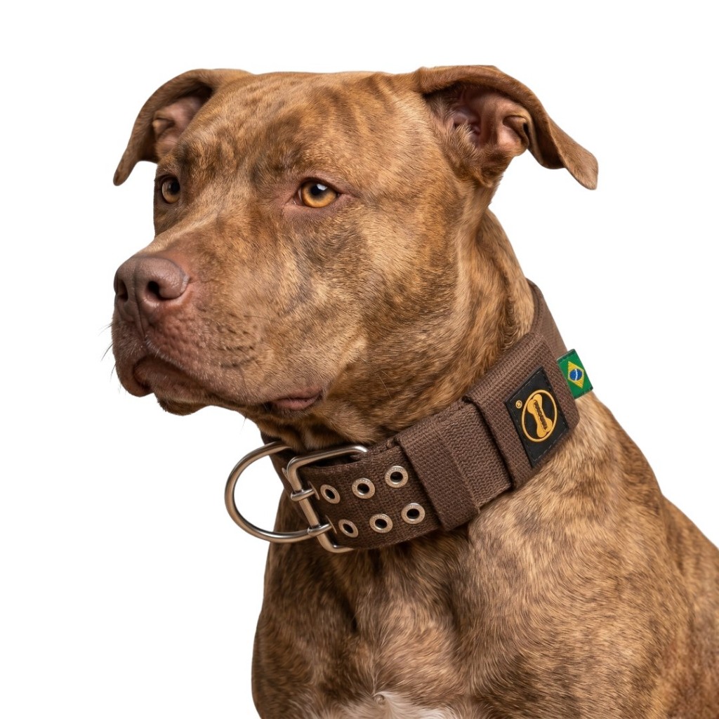 Coleira Grande Marrom Pitbull Labrador Dog Cane Corso Cachorro Rottweiler Cão Dobermann Dogue Cães