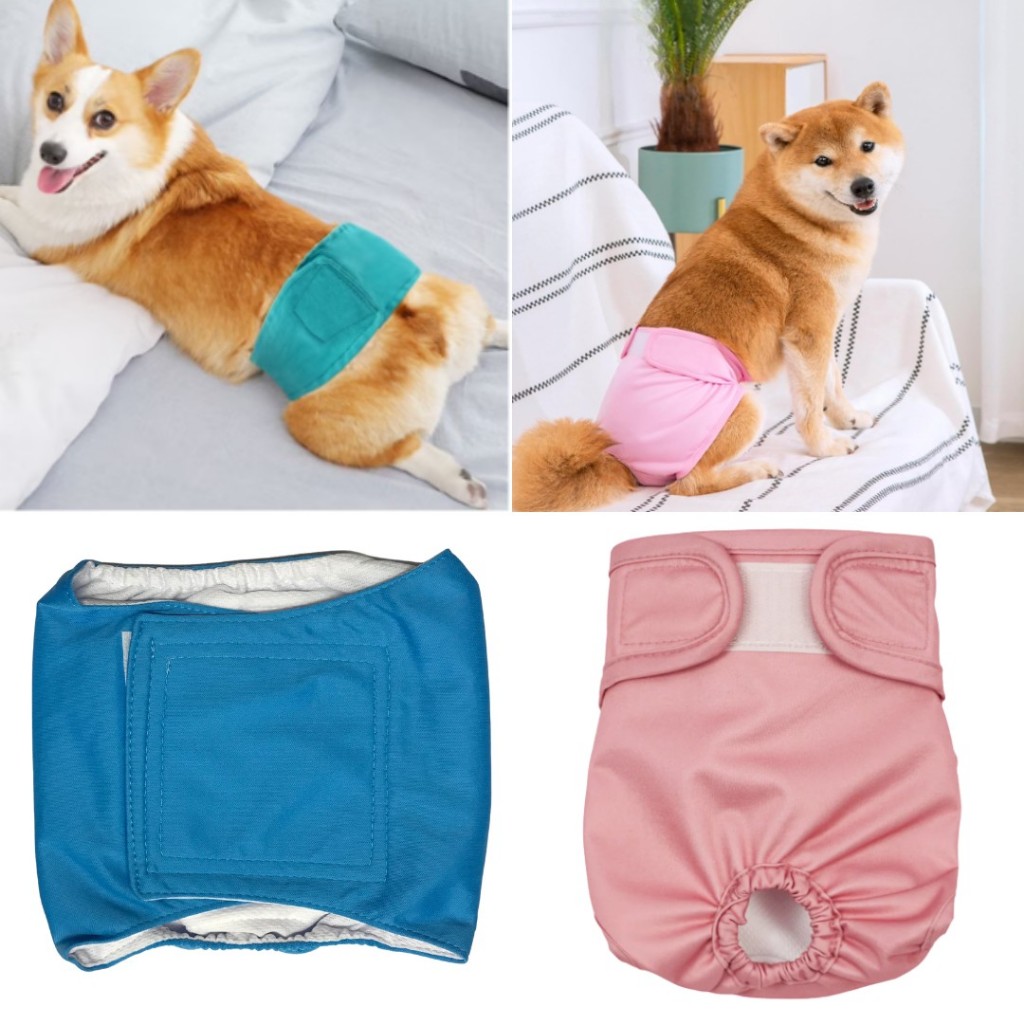 Fralda para Pet Roupa Íntima Higiênica Reutilizável Calça Fisiológica Impermeável Lavável Fêmea Macho LR-0340/LR-0341