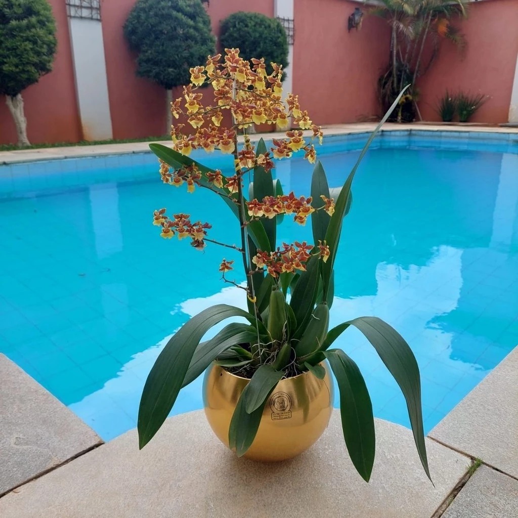 Vasinhos Decorativos Dourado Plástico Redondo Pequeno Luxo Decoração Casa