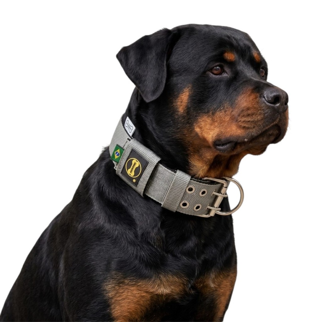 Coleira Cinza Borda Preta Rottweiler Slim Amorosso Cachorro Adestramento Cão Pet Mastin Dobermann