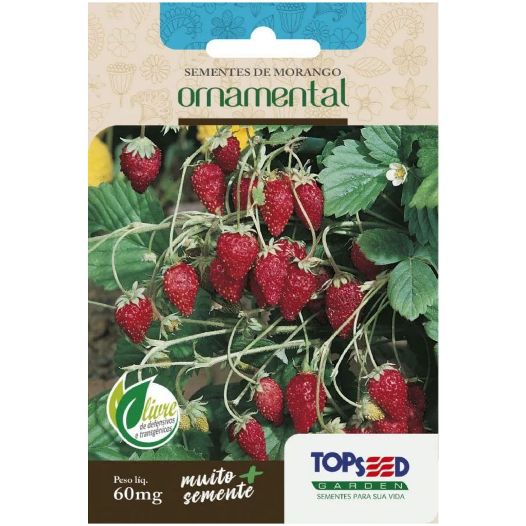 SEMENTES DE MORANGO - MORANGO ORNAMENTAL E COMESTIVEL