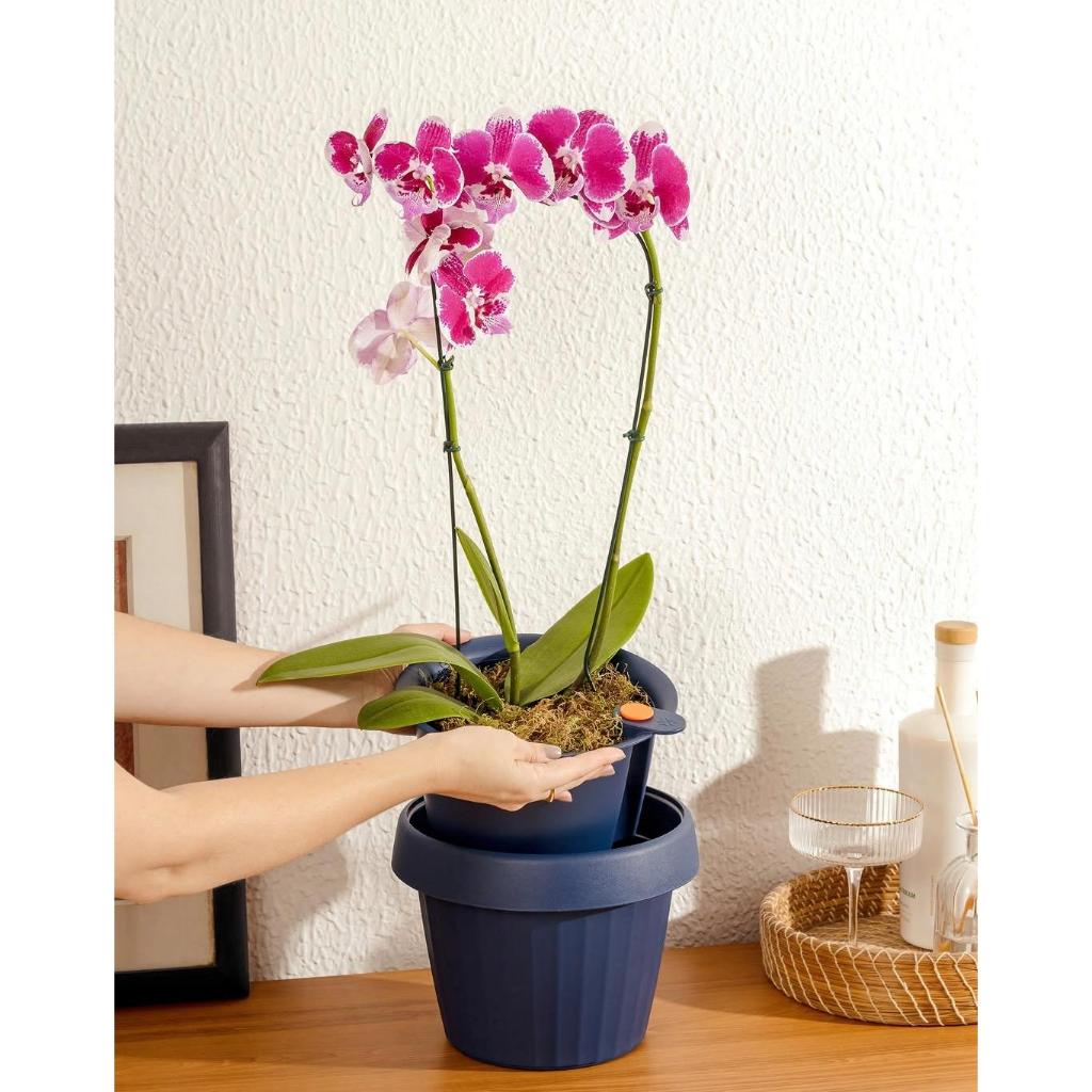 Vaso de flor 2,3 L Autoirrigável anti dengue Inteligente planta Premium