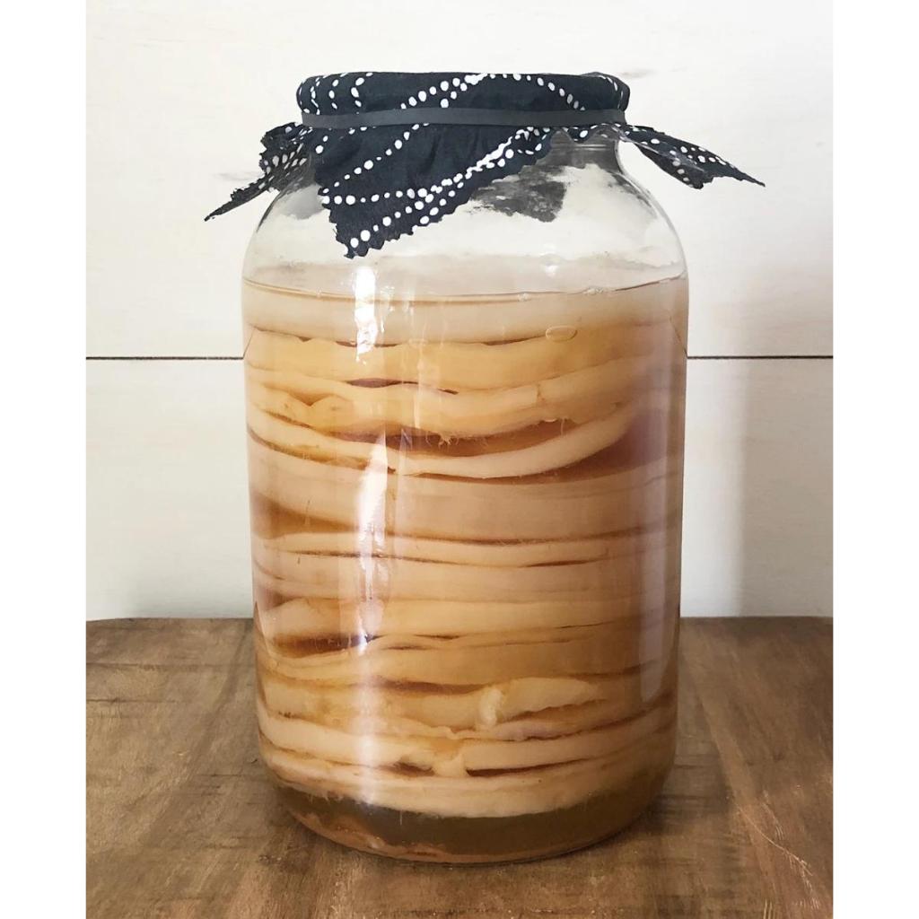 SCOBY kombucha