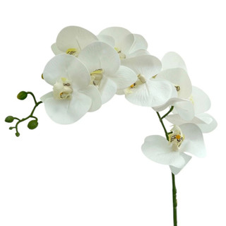 Haste Orquídea Phalaenopolis Grande Toque Real Artificial Siliconada 90cm