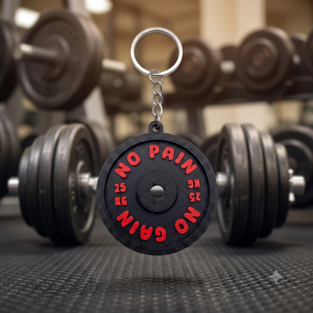 Chaveiro Anilha 25kg Impressão 3D — No Pain No Gain — Motivação Academia Musculação Treino
