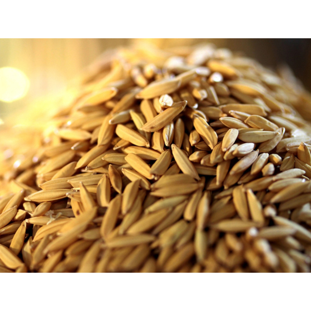 Casca De Arroz Esterilizada Jardinagem 100 Litros em Oferta na Shopee