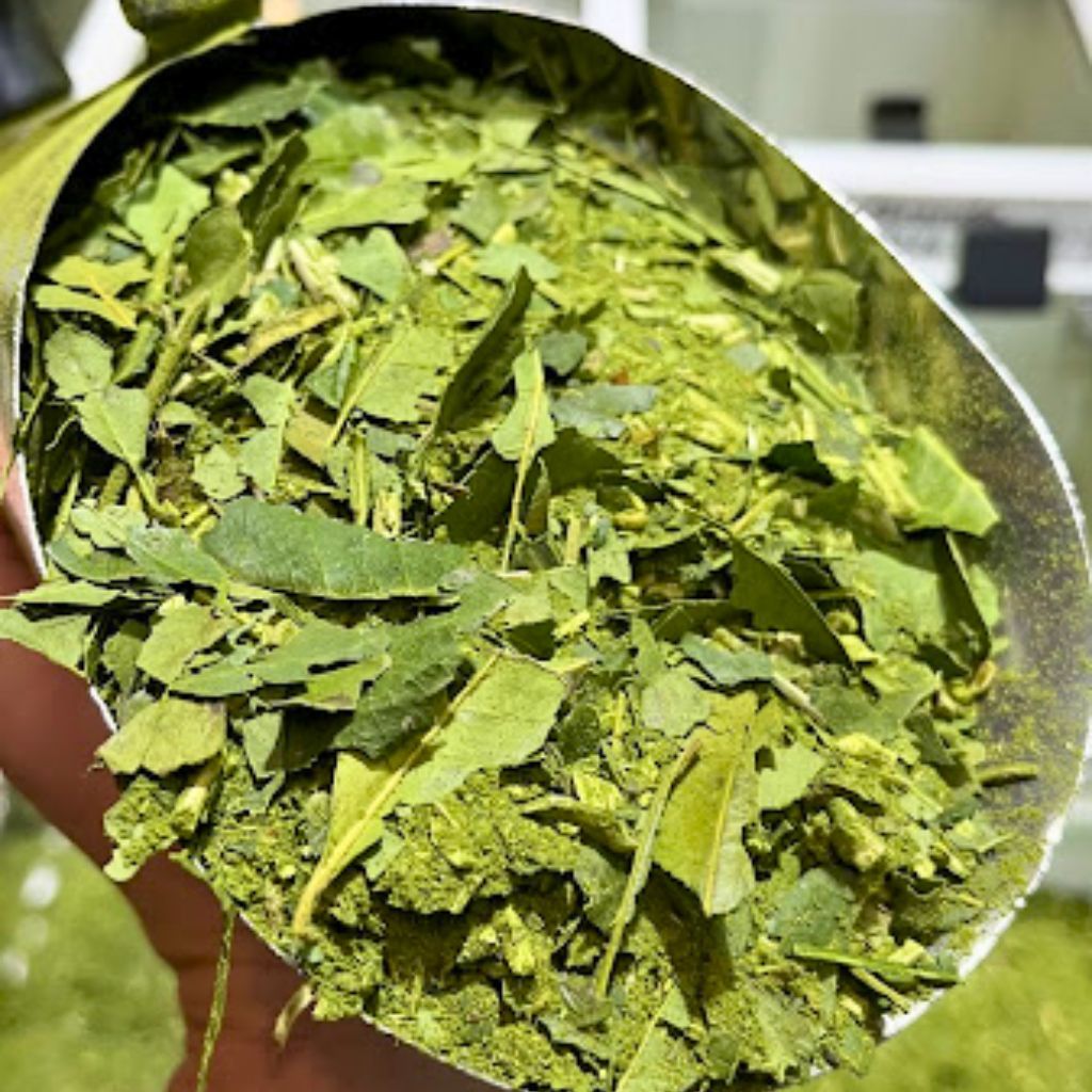 Erva Mate Chimarrão Cancheada - 3kg ou 5kg - Lago Verde — imagem 2 de 2