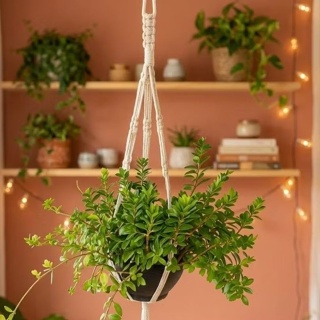 Suporte de planta macramê  feito a mão 80 cm decoração boho para vasos produto artesanal em Oferta na Shopee