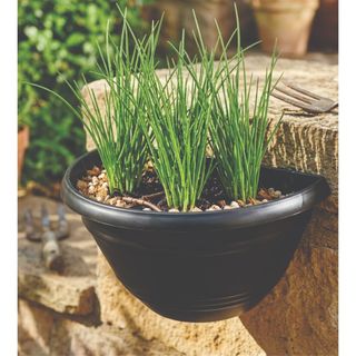 Vaso de parede 1 litro para jardim horta floreira vertical 6 Vasos preto