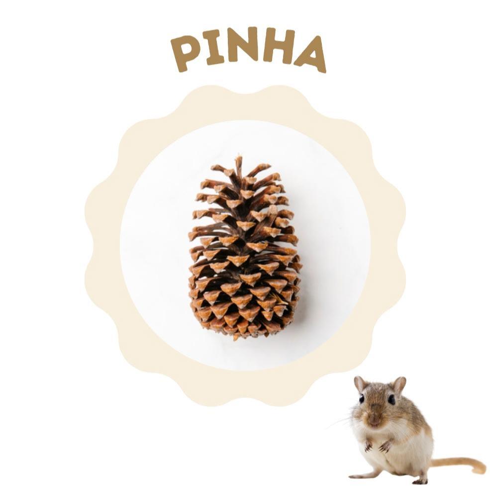 PINHA em Oferta na Shopee