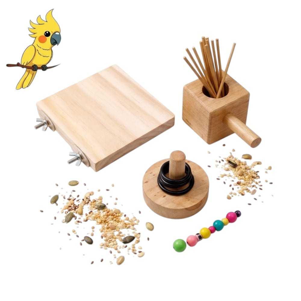 Kit Brinquedo Pega Palitos + Argolas + Plataforma 10x10 Para Aves