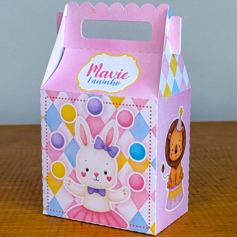 Caixinhas Surpresa Circo Rosa Lembrancinha Maletinhas Vários Modelos Personalizado Com NOME e IDADE