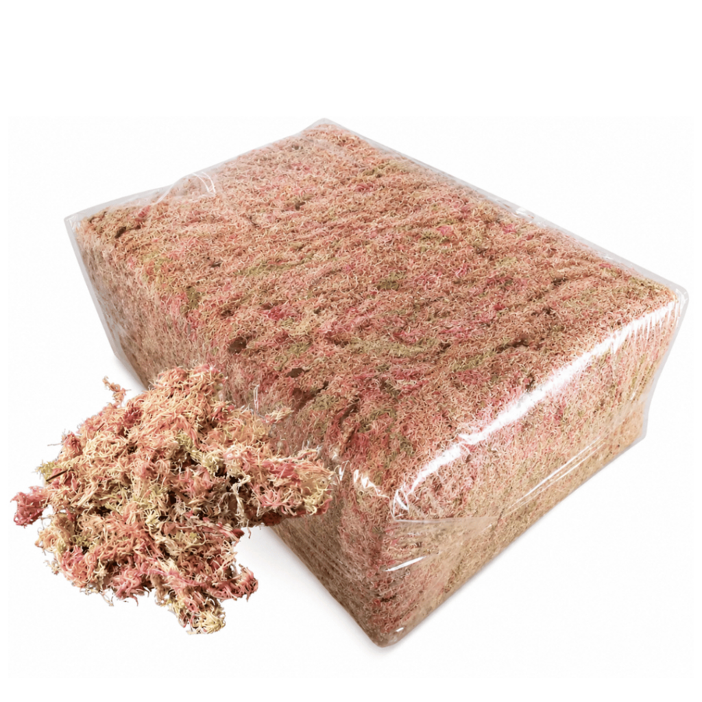 Musgo Sphagnum Esfagno Rosa Para Orquídeas Decoração Artesanato 2/4/6/8/10
