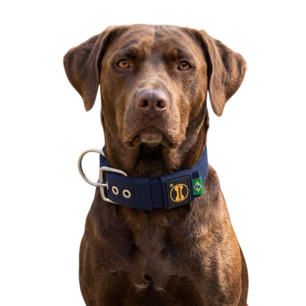 Coleira Azul Marinho Cachorro Grande Porte Golden Retriever Pastor Alemão Pitbull Adestramento Cão
