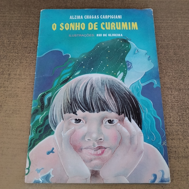 Livro O Sonho de Curumim - Alzira Chagas Carpigiani