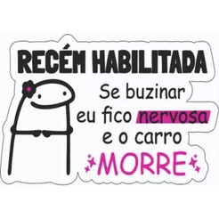 Adesivo Recém Habilitada