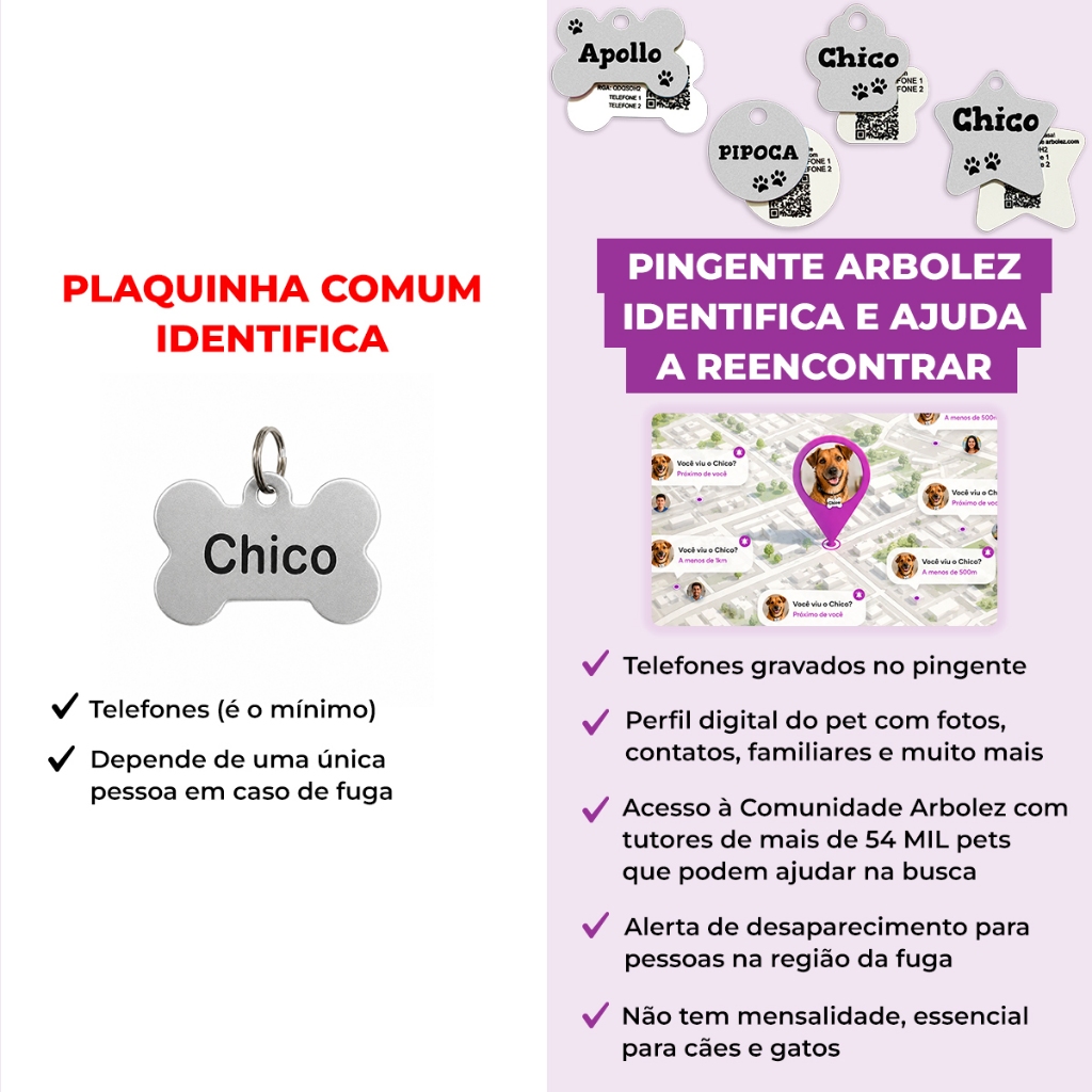Placa de Identificação Pet Cachorro Gato Personalizada