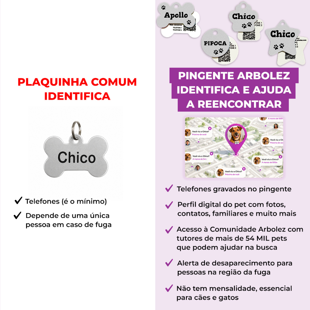 Placa De Identificação Pet Cachorro Gato Gravada Nome Telefone QR Code