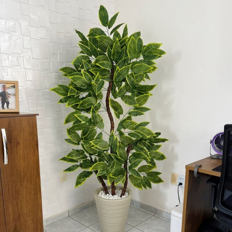 Croton Artificial Brasileirinho 130cm a 190cm Sem Vaso Decoração — imagem 2 de 2