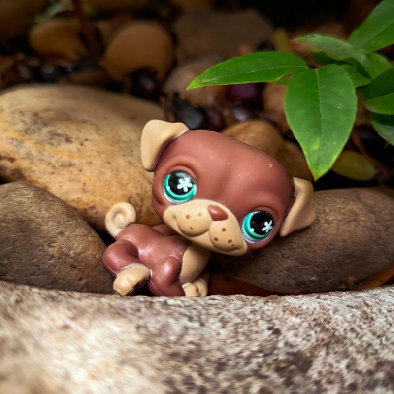 Littlest Pet Shop Pug