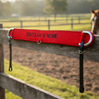 Peitoral PERSONALIZADO de Fita para Cavalos, Éguas e Equinos Bordado (Escolha o Nome!!!) em Oferta na Shopee