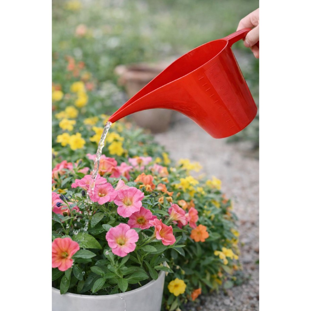 Regador de Plantas 1L Plástico com Bico Longo Funil para Jardim Vasos Flores Horta