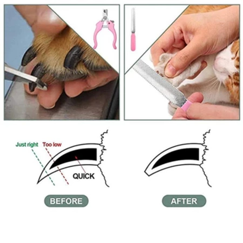 Kit 12 Tosador e Escova para Pets de Pelo Longo - Frescor, Higiene e Limpeza para Cães e Gatos — imagem 2 de 2