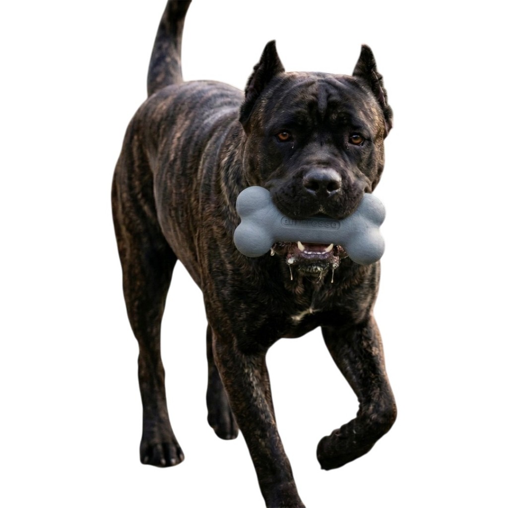 Osso Cinza Brinquedo P/Cachorros Maciço Resistente Atóxico Amorosso Variações Cães Cão Pitbull Rottweiler Dobermann Cães