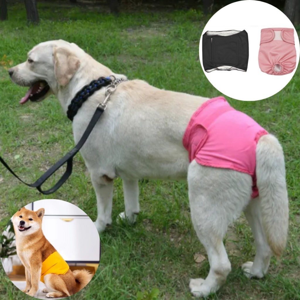 Fralda Higiênica Pet Impermeável Lavável Reutilizável Ajustável Macho Fêmea LR-0340/0341