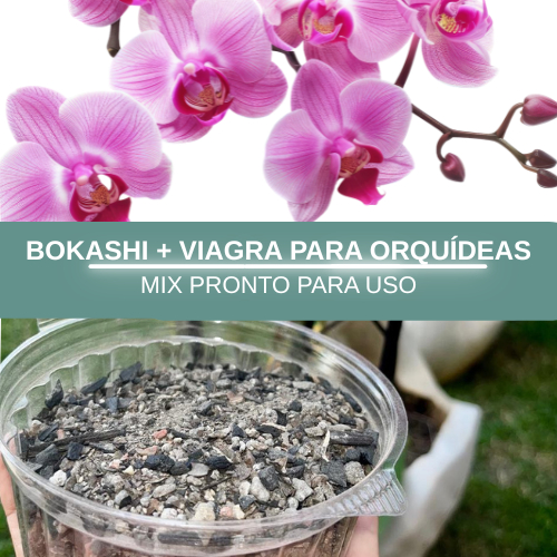 Bokashi com VIAGRA Adubo Fertilizante POTENTE para Orquídeas, Phaleanopolis, Cattleya, Dendrobium
