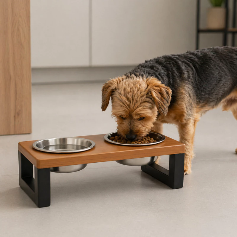 Comedouro Elevado Pet: 60% OFF! 🐾