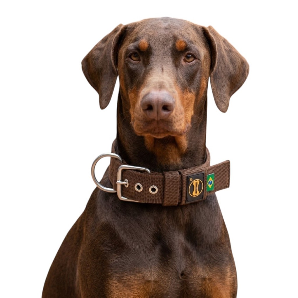 Coleira Dobermann fit Marrom 40mm Pet Cachorro Grande Pitbull Terrier Pit Monster Adestramento Cães