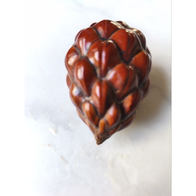 Fava Pinha de Oxóssi - Produto Natural