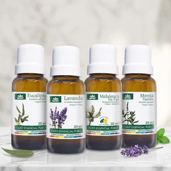 Óleo Essencial 20ml WNF