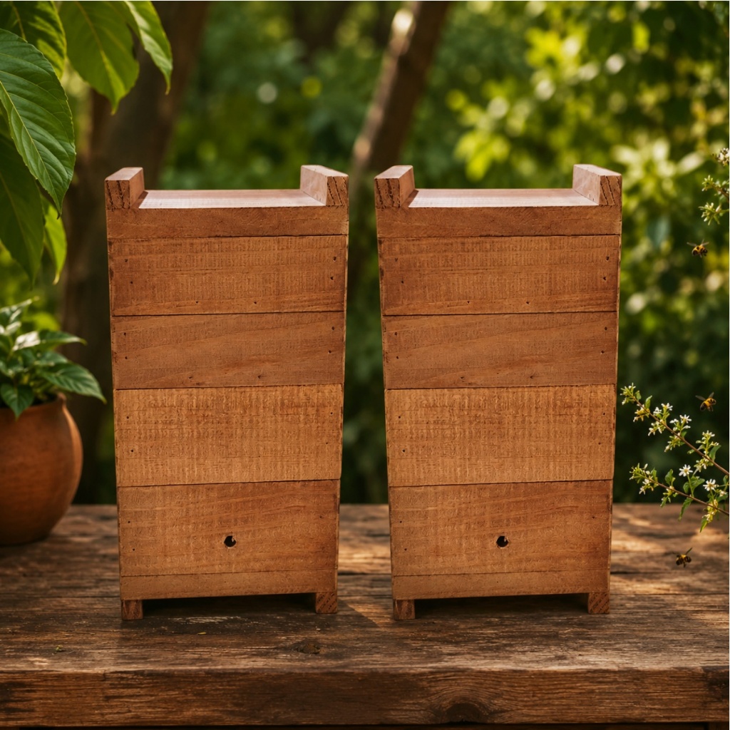 Caixa Para Abelhas Jataí, 12X12, Madeira Tratada De Pinus , Jataí, Mirim, Sem Ferrão Com 2 Melgueiras  Modelo Inpa