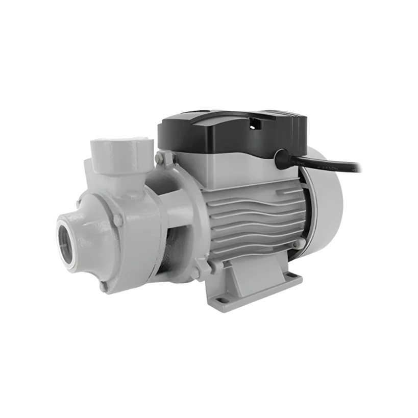 Bomba Periférica Silenciosa Razi 0,5hp Econômica 1/2cv 60Hz