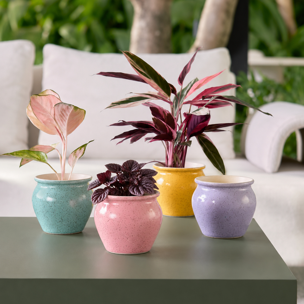 Kit 4 Vasos Cerâmica Colorido Mini Vaso para Suculenta Planta