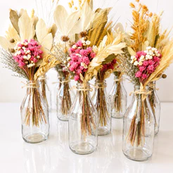 1 Arranjo desidratado Fantasia Especial garrafa Coquinho 200ml p/decoração lembrancinhas