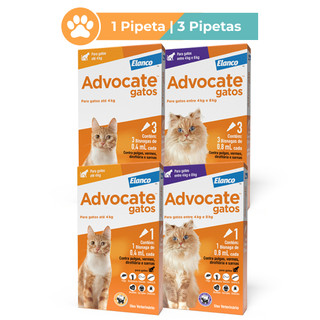 Advocate para Gatos Até 4kg ou de 4 à 8kg 1 ou 3 Pipetas Antiparasitário Elanco
