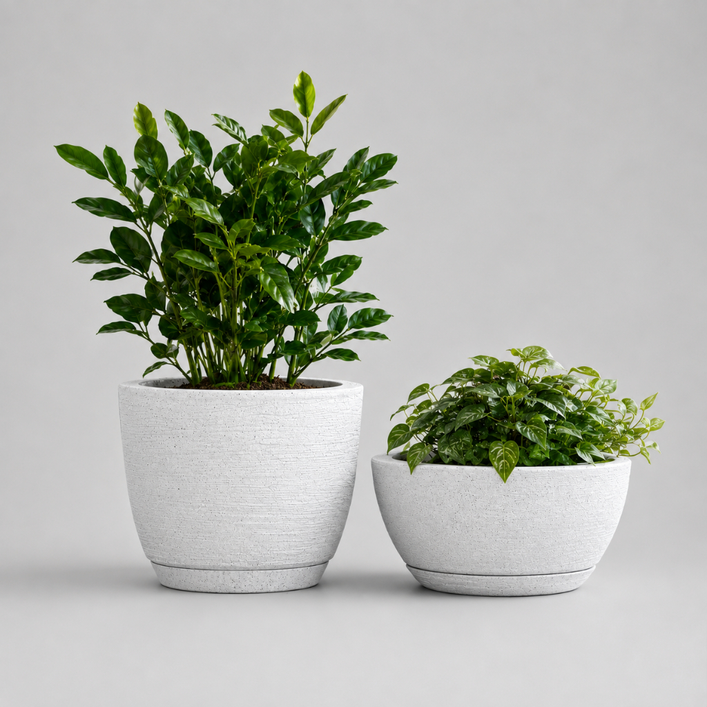 Vasos para Plantas Decorativo Mesa Bojo Bacia Cuia com Prato em Polietileno