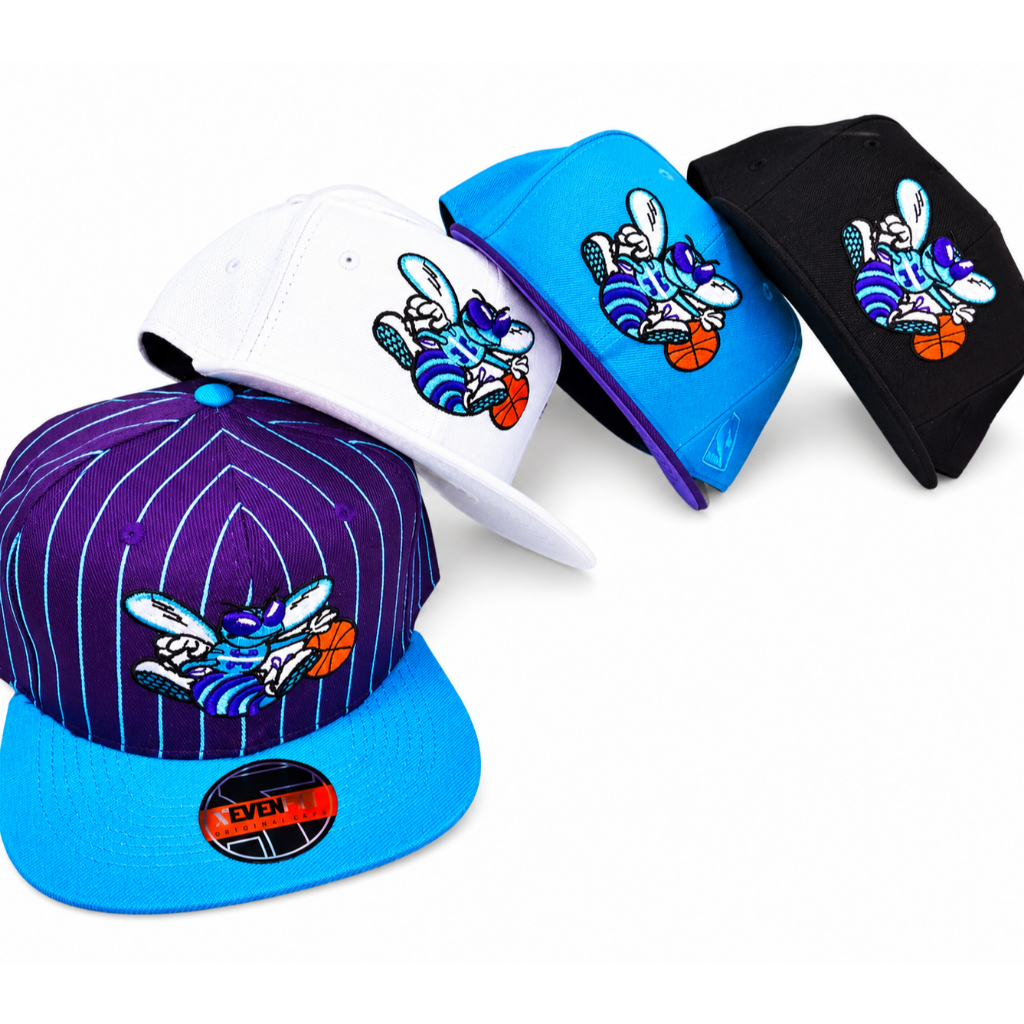 Boné Charlotte Hornets Antigo Anos 90/ 80 Bordado Aba Reta Snapback Basquete