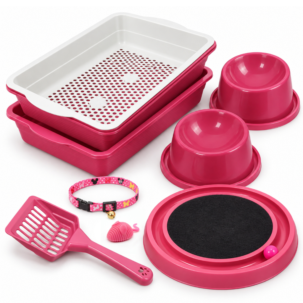 Kit Gato Completo Caixa de Areia para Gato Arranhador Comedouro Elevado Coleira com Sininho