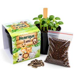 Lembrancinha Para Plantar Personalizada Kit Plantio Safari Lembrancinha Ecológica Aniversário