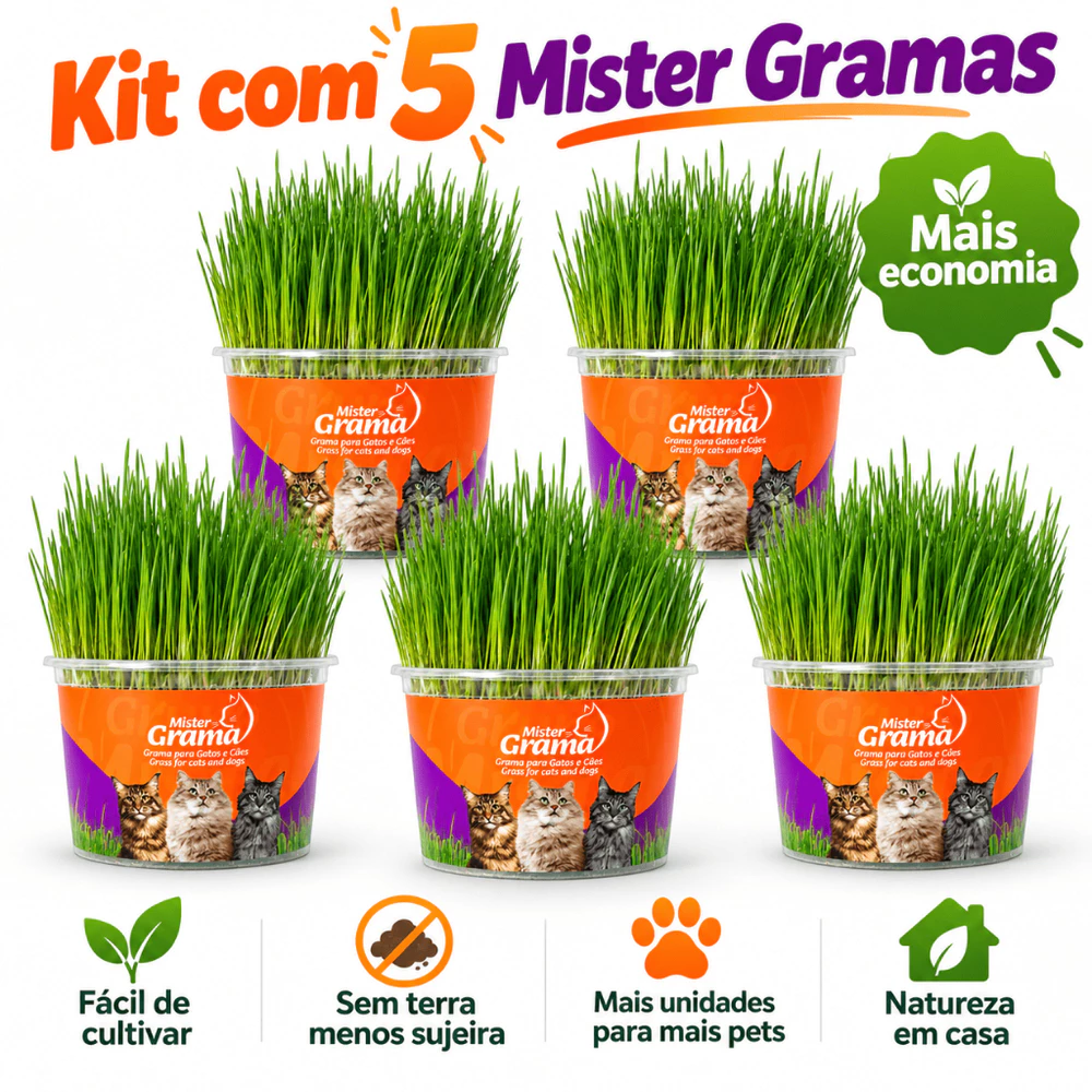 5 UNI DE GRAMA PARA GATO MISTER FÁCIL DE PLANTAR E AJUDA NAS BOLAS DE PELO