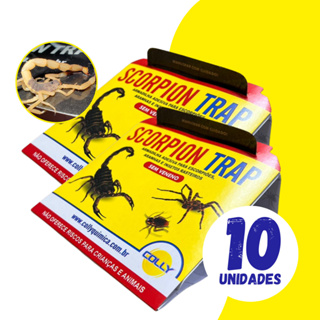 Kit com 10 unidades Armadilha Adesiva Captura Escorpião Barata | Scorpion Trap Colly em Oferta na Shopee