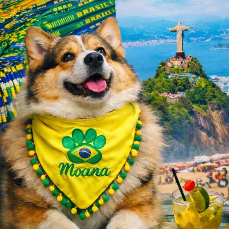 BANDANA DO BRASIL PERSONALIZADA COM NOME DO PET+ PATINHA+POMPOM VERDE E AMARELO PARA A COPA DO MUNDO TAMANHO P, M, G, GG