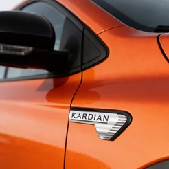 Aplique De Paralama Renault Kardian autocolante Resinado